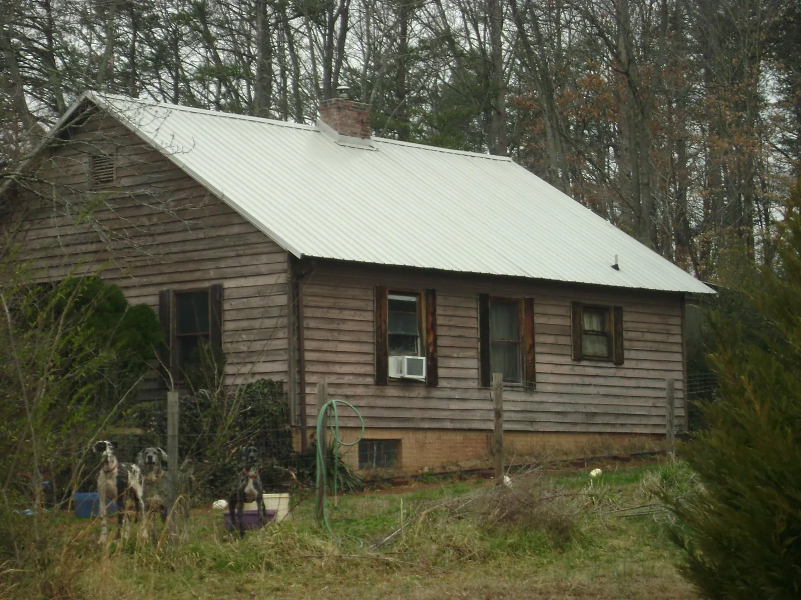 White metal roof on an old wood sided farmhouse, from a Asphalt Shingle Roof Repair job in Broxton